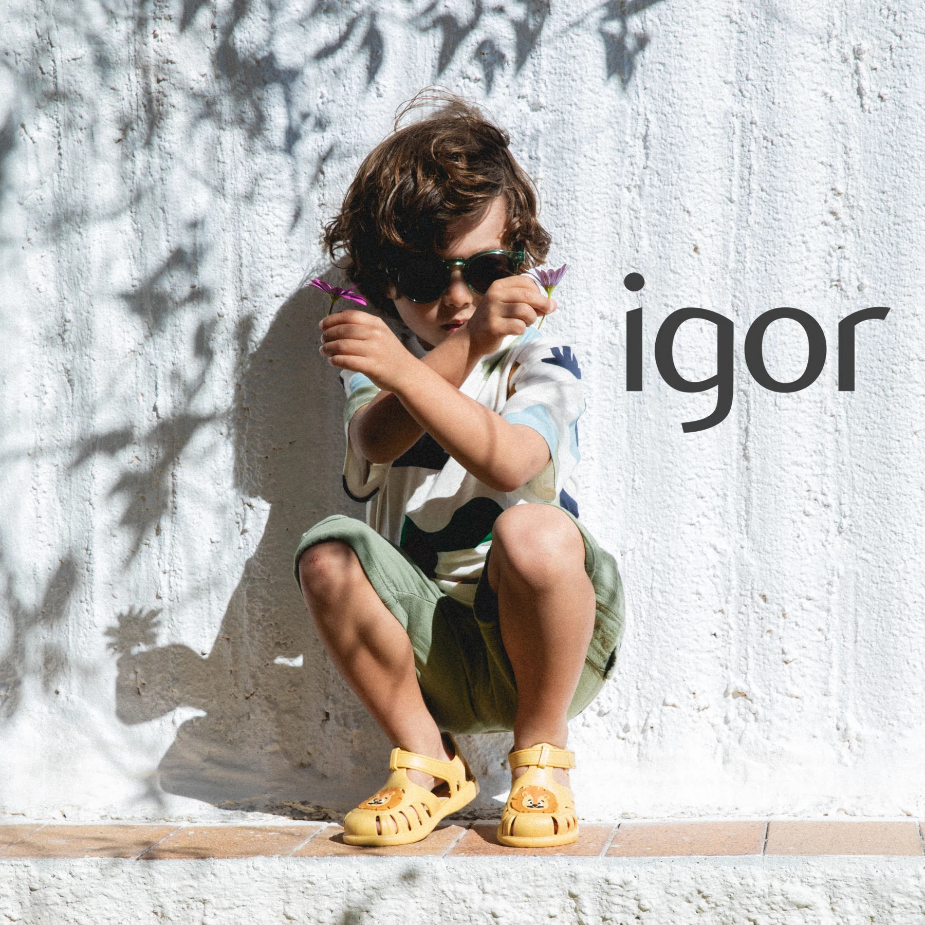 IGOR