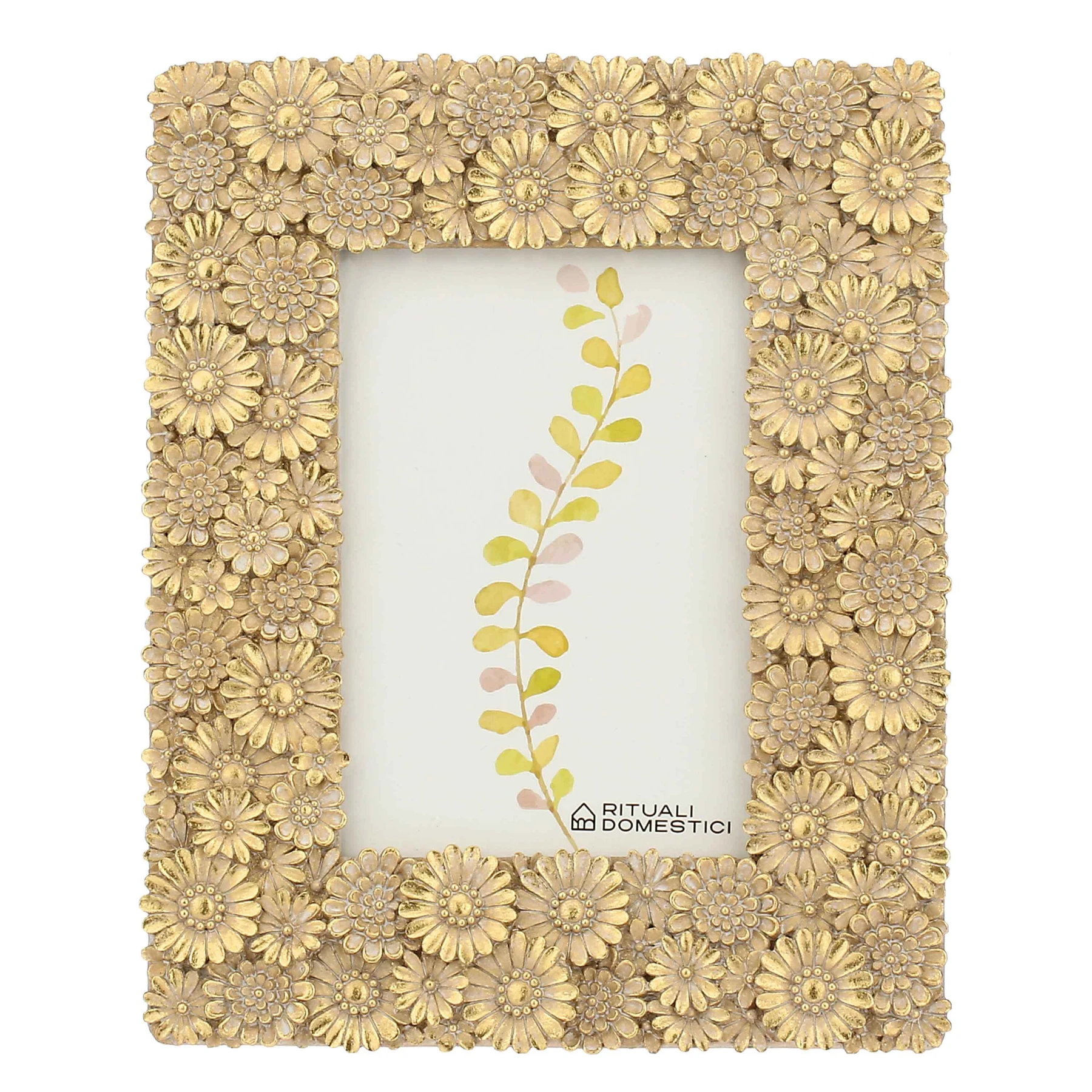 Gerbera Photo Frame 10x15cm Image