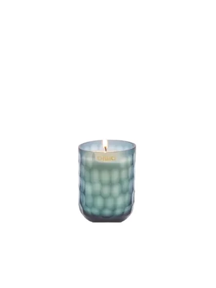 Eternal Croisière Ginger Fig Candle 8X10.5cm xSmall