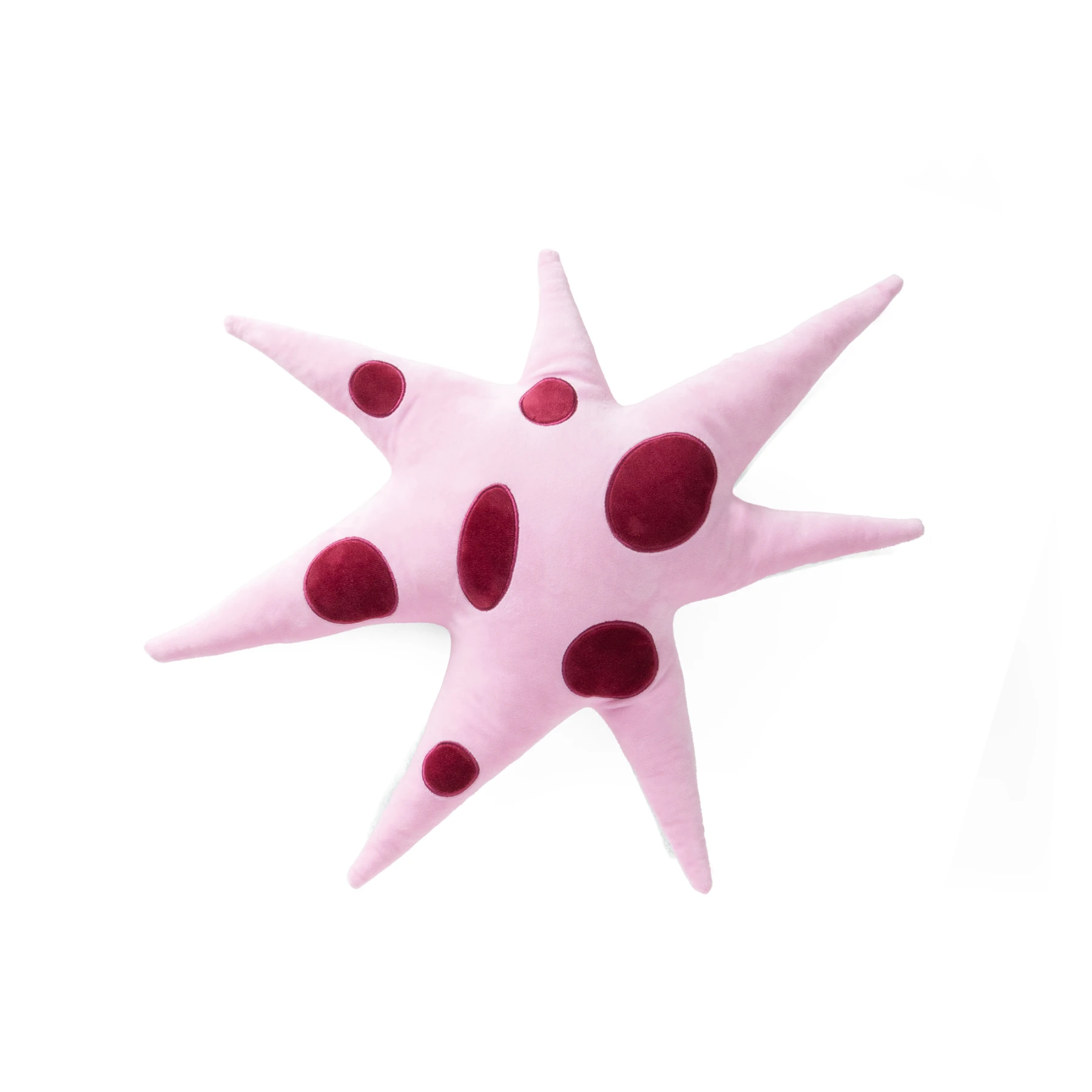 Pink Polar Star  Cushion 