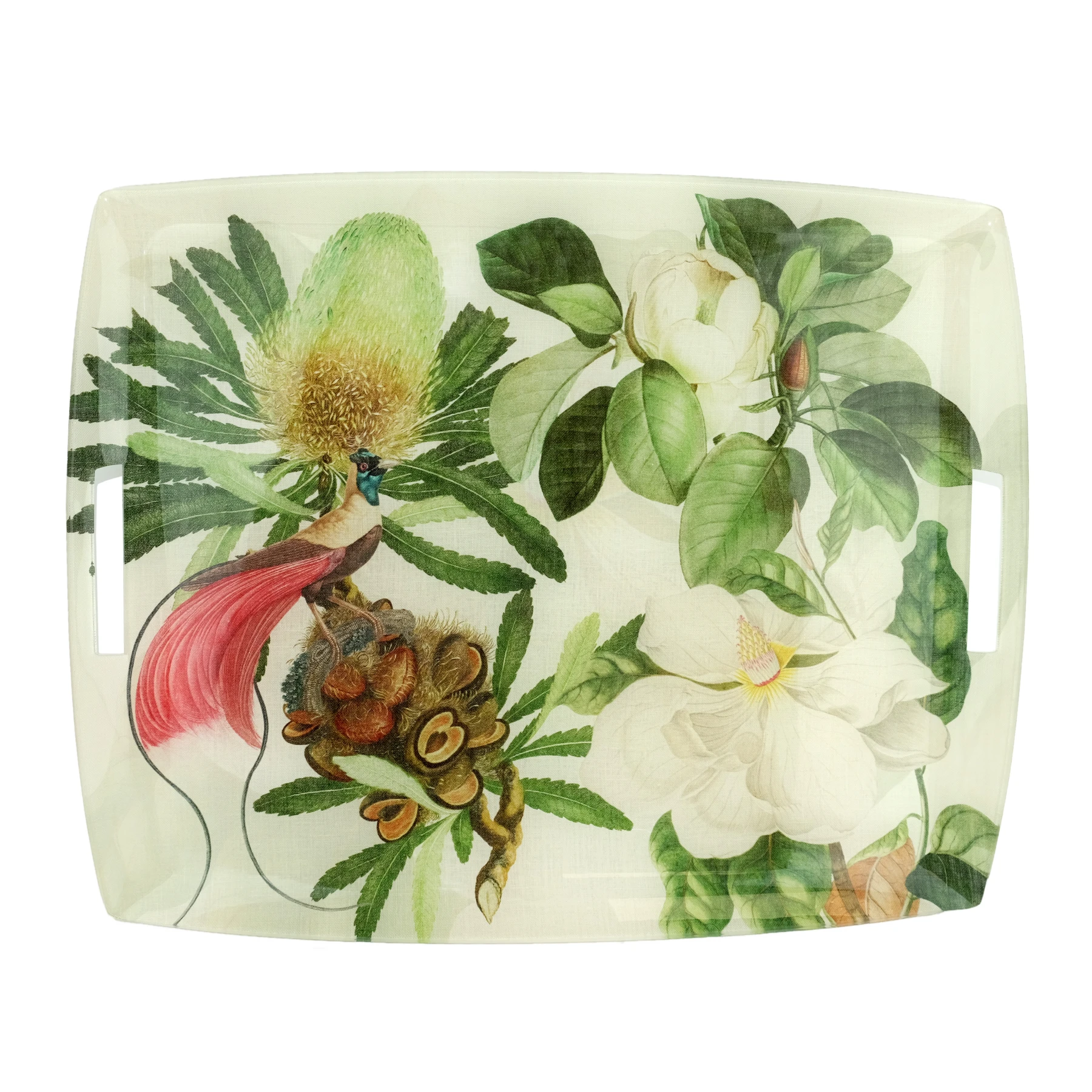 Tray Image
