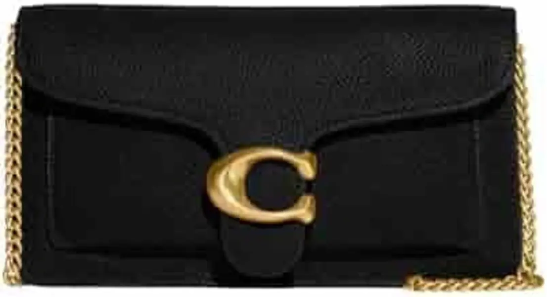 Tabby Chain Clutch Bag