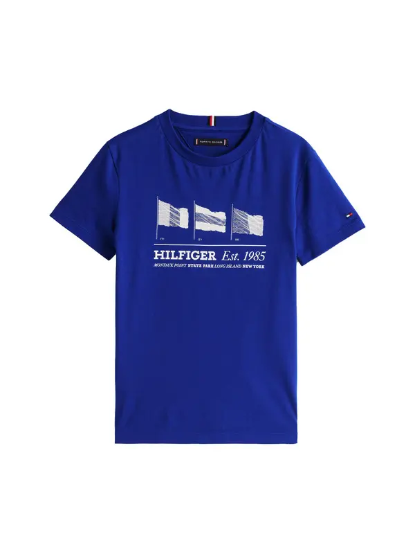 Regular Fit T-Shirt With Waving Flag 