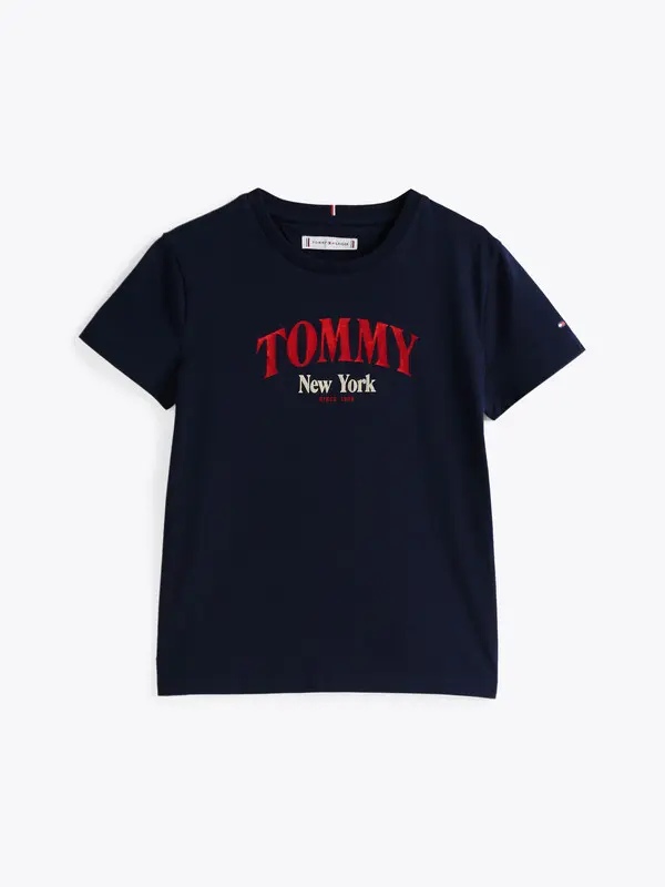 Regular Fit Varsity T-Shirt
