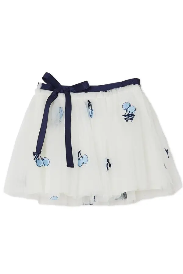 Embroidered Tulle Skirt