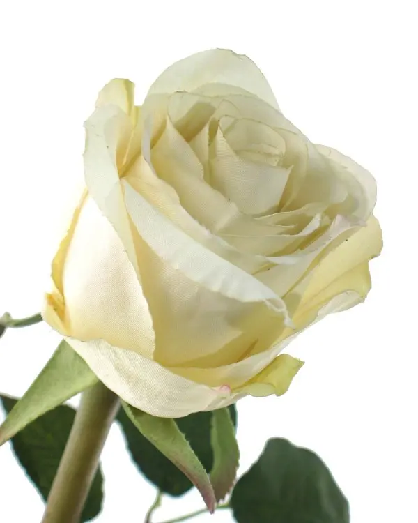 Artificial Flower - Garden Rose Spray in Cream