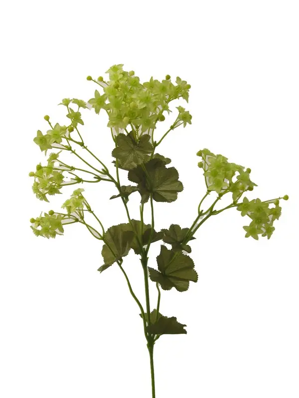 Artificial Flower - Mollis Green