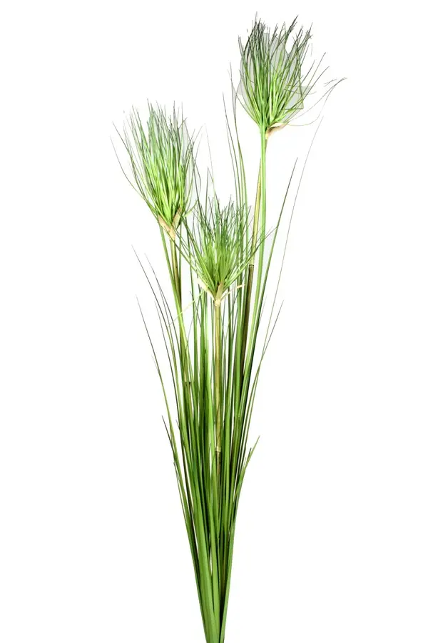 Artificial Flower - Papyrus Plant in Green