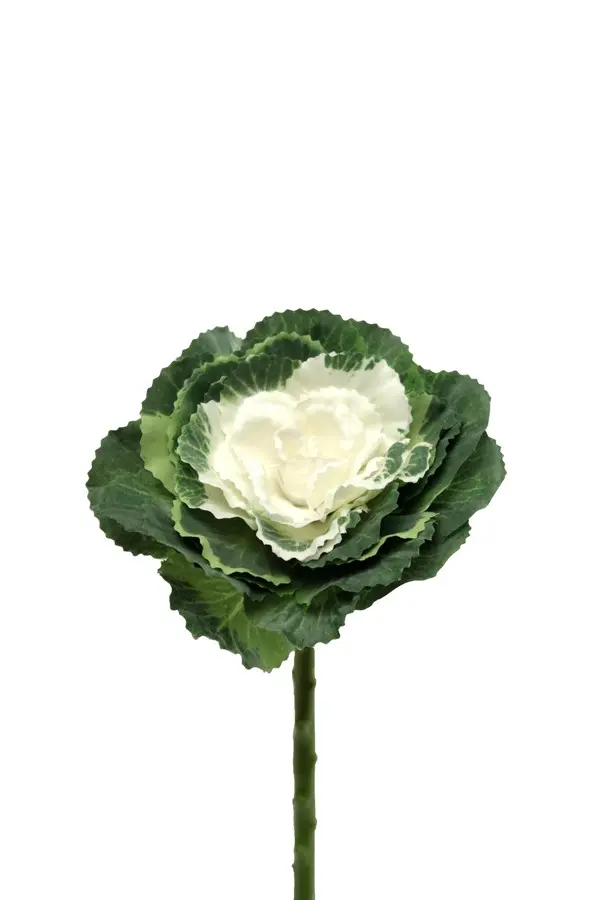 Artificial Flower - Large Ornamental Cabbage in Green/Cream