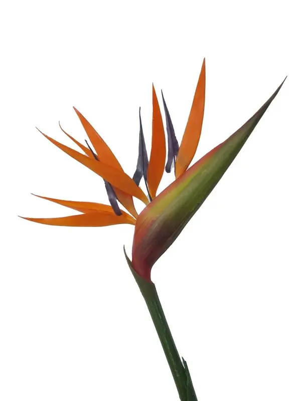 Artificial Flower - Bird of Paradise in Orange