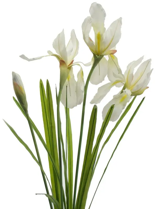 Artificial Flower - Wild Iris Bush in Cream