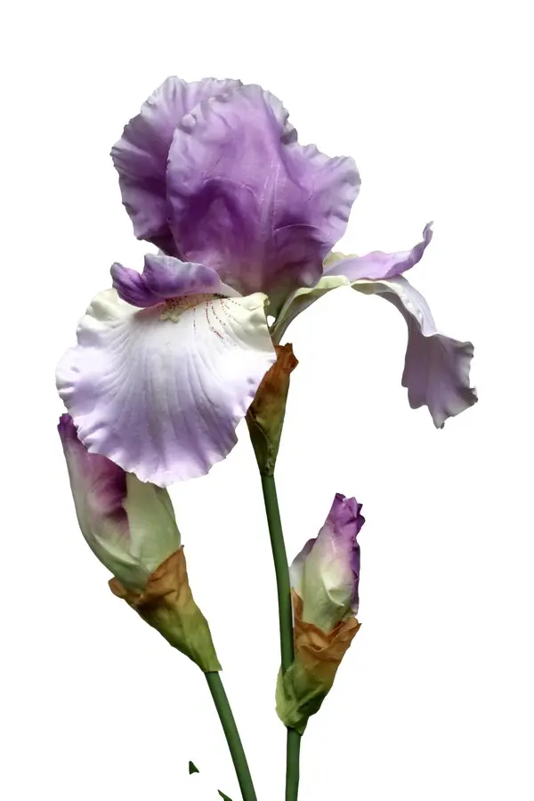 Artificial Flower - Iris Spray in Lavender