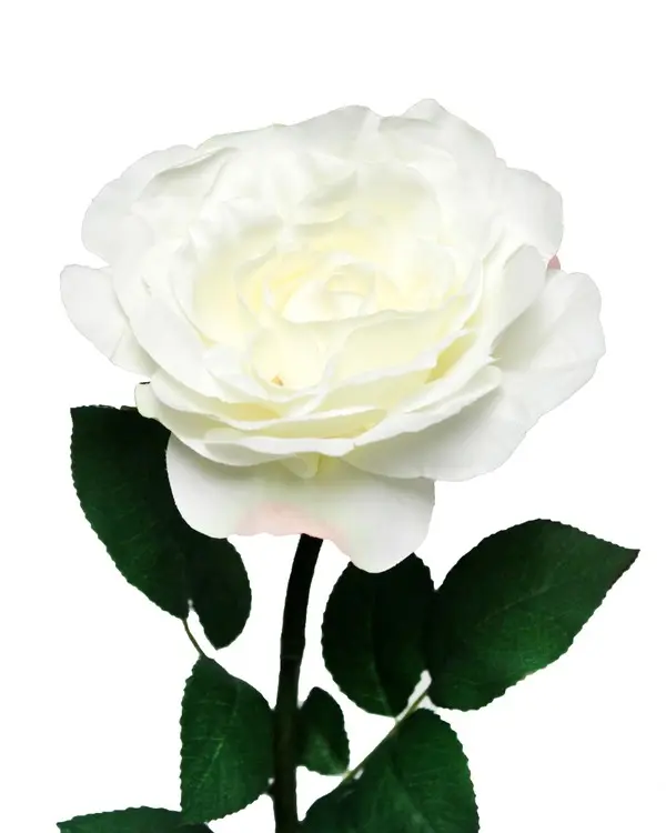 Artificial Flower - Rose in White