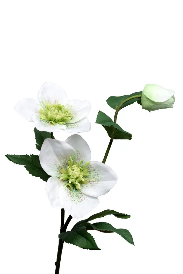 Artificial Flower - Christmas Rose Spray