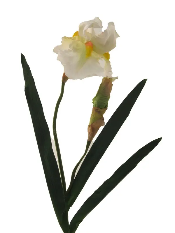 Artificial Flower - Outlet Iris Spray in White