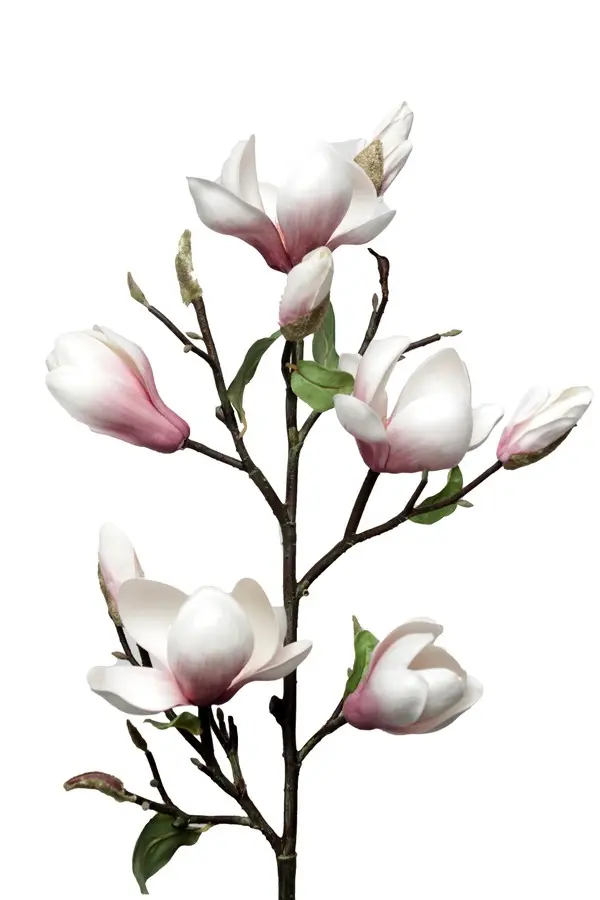 Artificial Flower - Magnolia Branch in Lavender