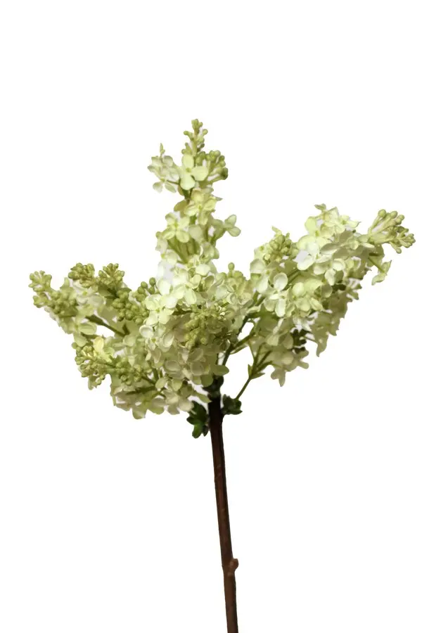 Artificial Flower - Lilac in Light Green