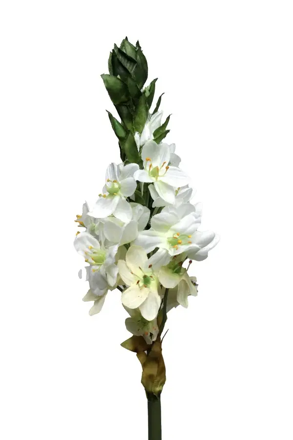 Artificial Flower - Ornithogalum Spray in White
