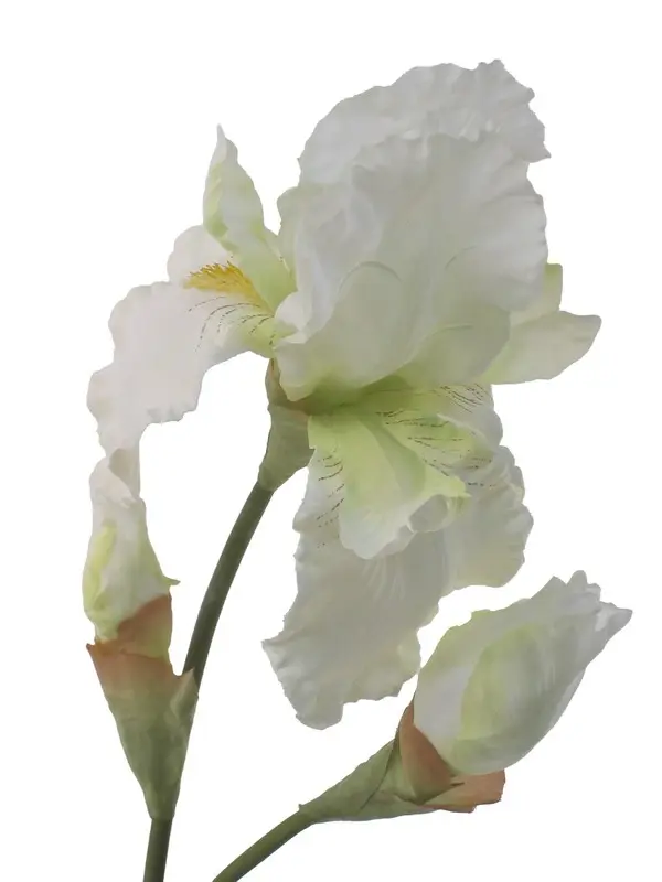 Artificial Flower - Iris Spray in White