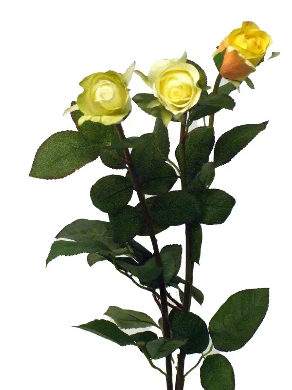 Artificial Flower - Rose Bud in Assorted Cream/Yellow