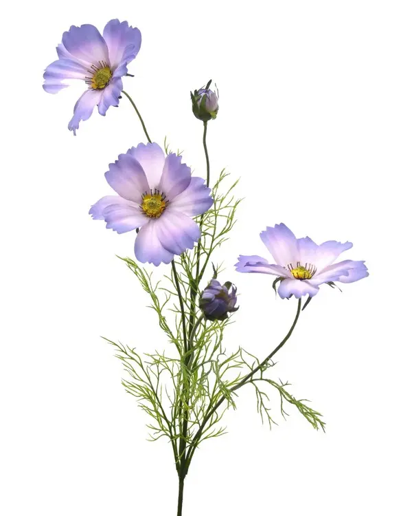 Artificial Flower - Cosmos Spray in Lavender