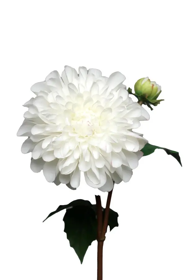 Artificial Flower - Dahlia in White