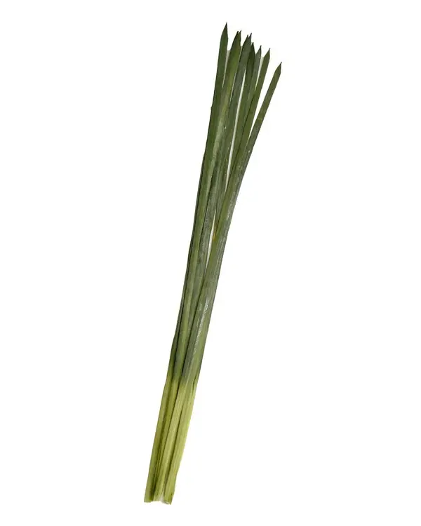 Artificial Flower - Grass Bundle in Green