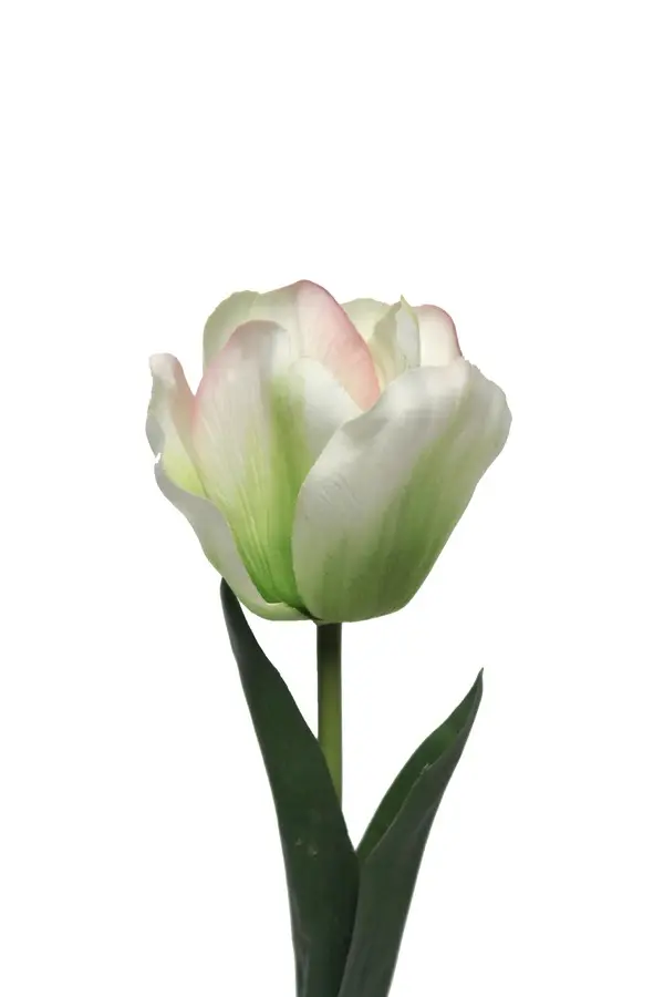 Artificial Flower - Tulip Short Stem in Green/Pink