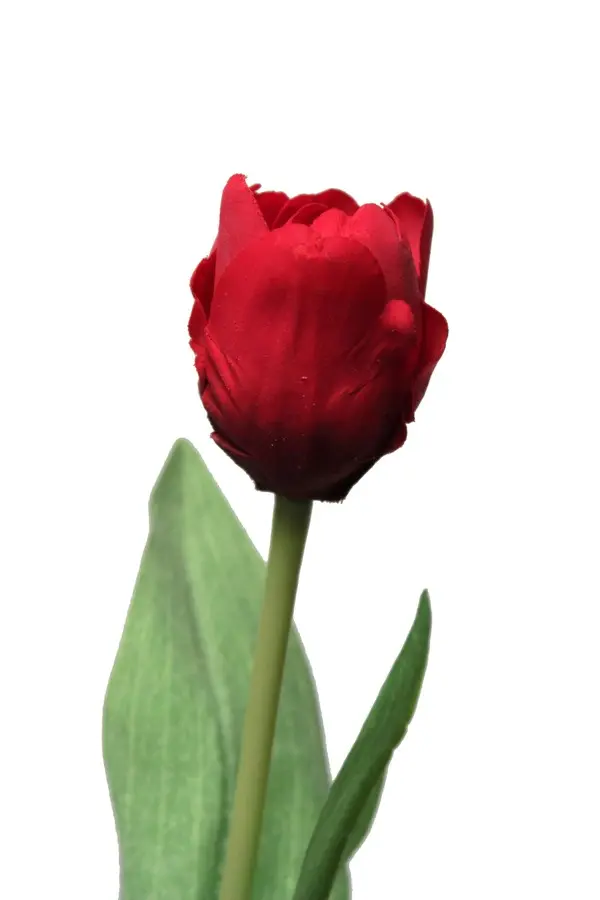 Artificial Flower - Tulip with Leaves