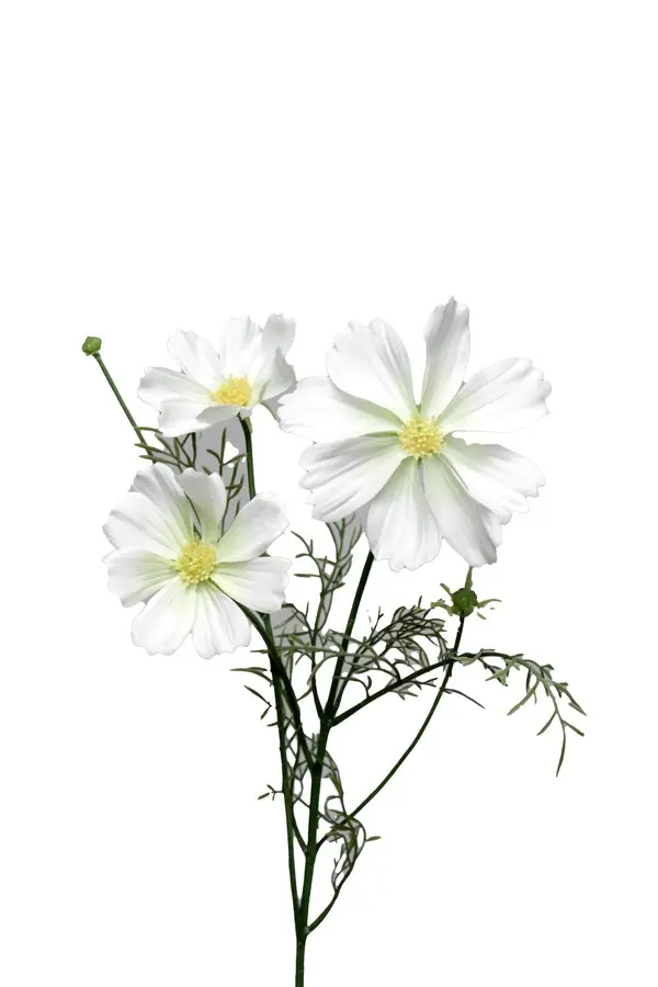 Artificial Flower - Cosmos in White/Green