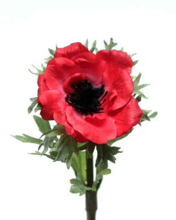 Artificial Flower - Anemone in Red Height
