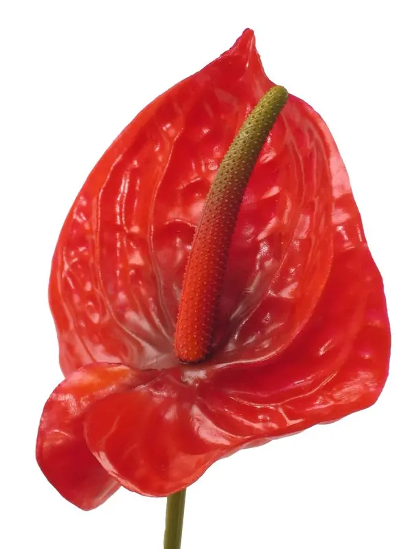 Artificial Flower - Anthurium in Red