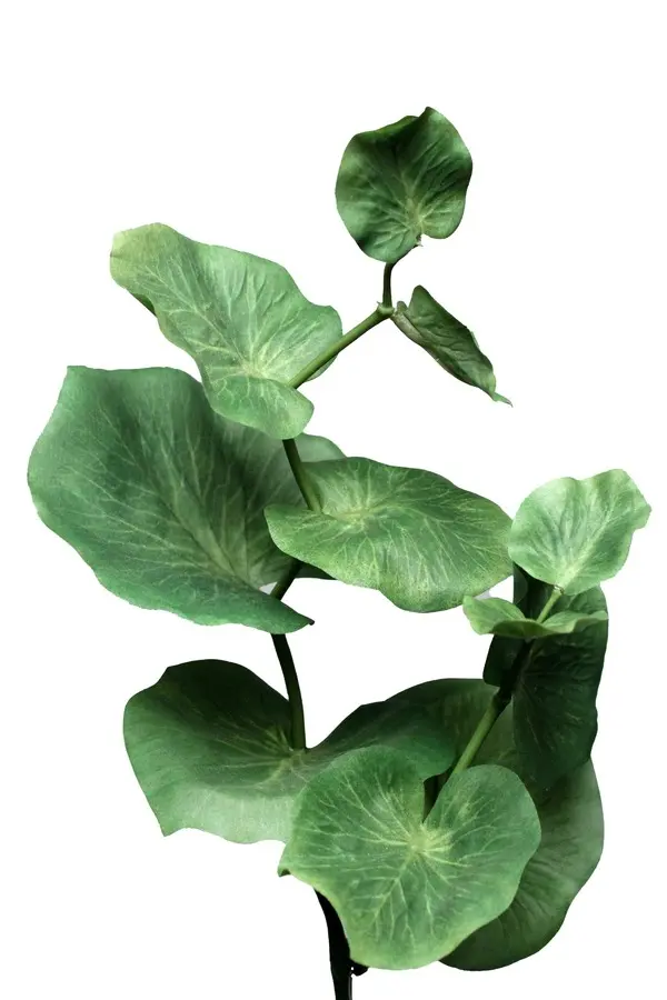 Artificial Flower - Galax Bundle in Green