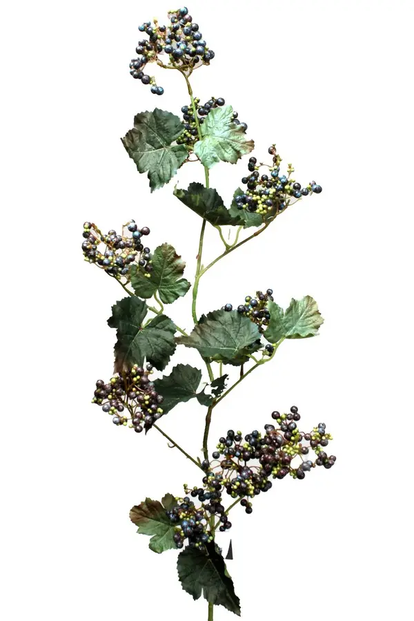 Artificial Flower - Grape Spray in Blue