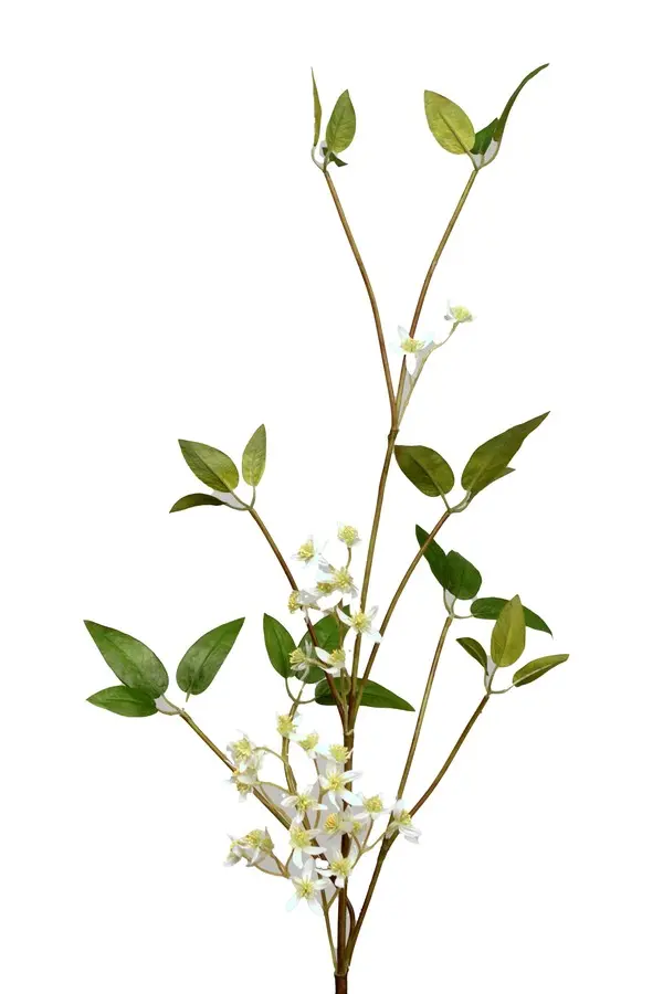 Artificial Flower - Wild Jasmine in White