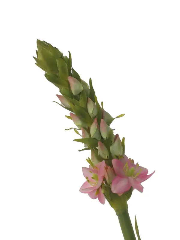 Artificial Flower - Ornithogalum in Pink Cream