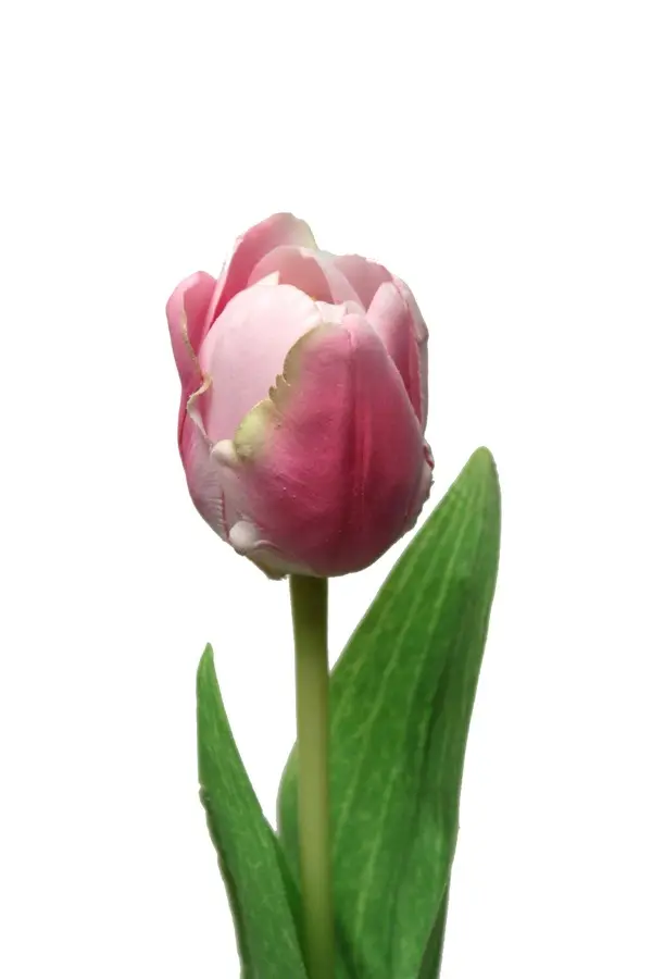 Artificial Flower - Tulip with Leaves