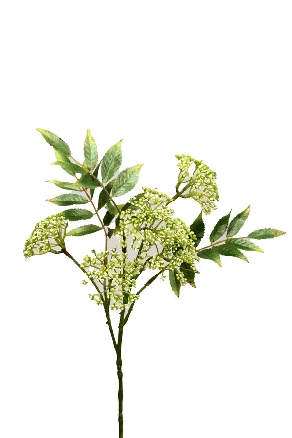Artificial Flower - Anethum Spray in Cream/Green