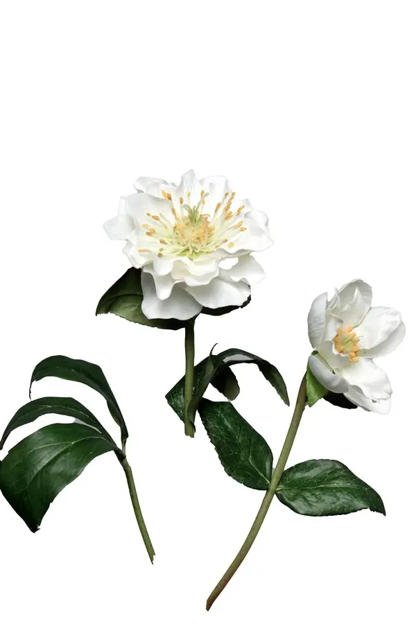 Artificial Flower - Christmas Rose in White