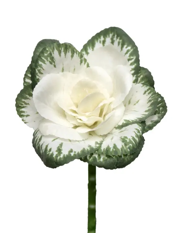 Artificial Flower - Cabbage with Coating Stem in Cream/Green