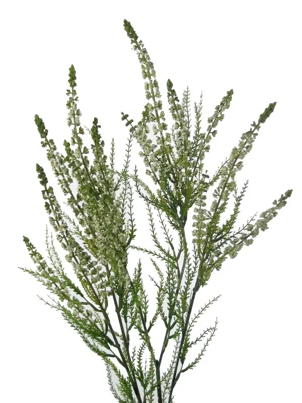 Artificial Flower - Solidago Spray in Cream/Green