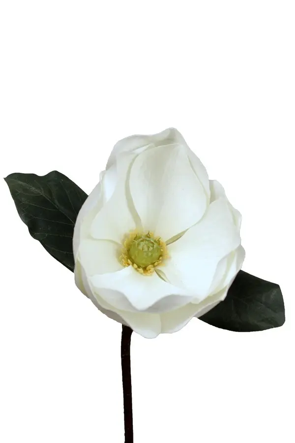 Artificial Flower - Magnolia in White
