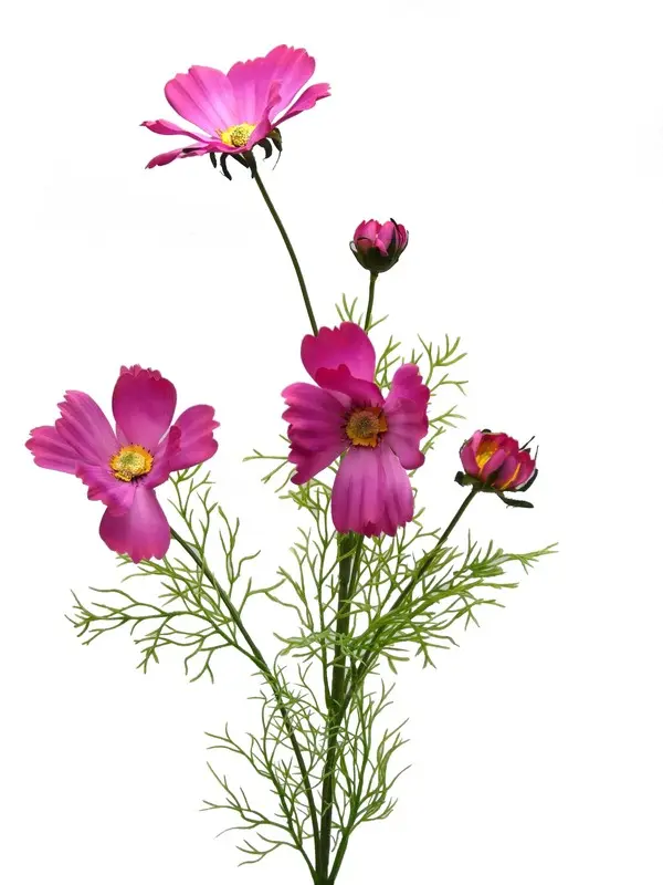 Artificial Flower - Cosmos in Dark Fuchsia