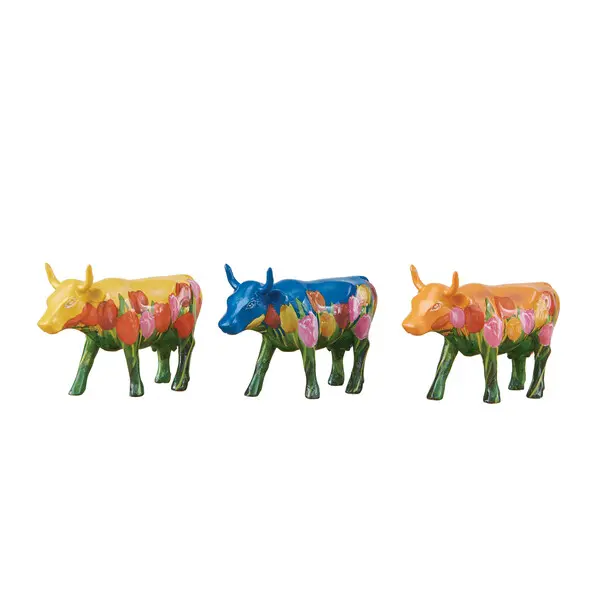  Tulips/Netherlands Cow - 3Pack