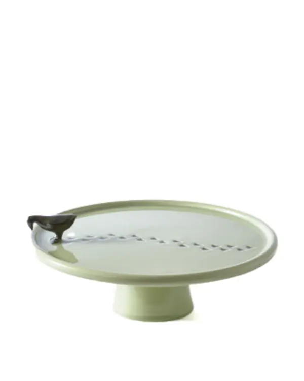 plate walking duck green Image