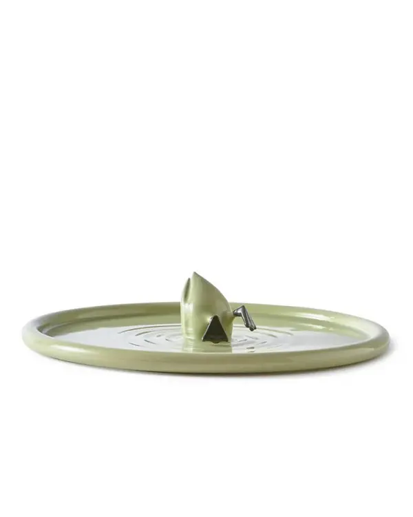 plate diving duck green