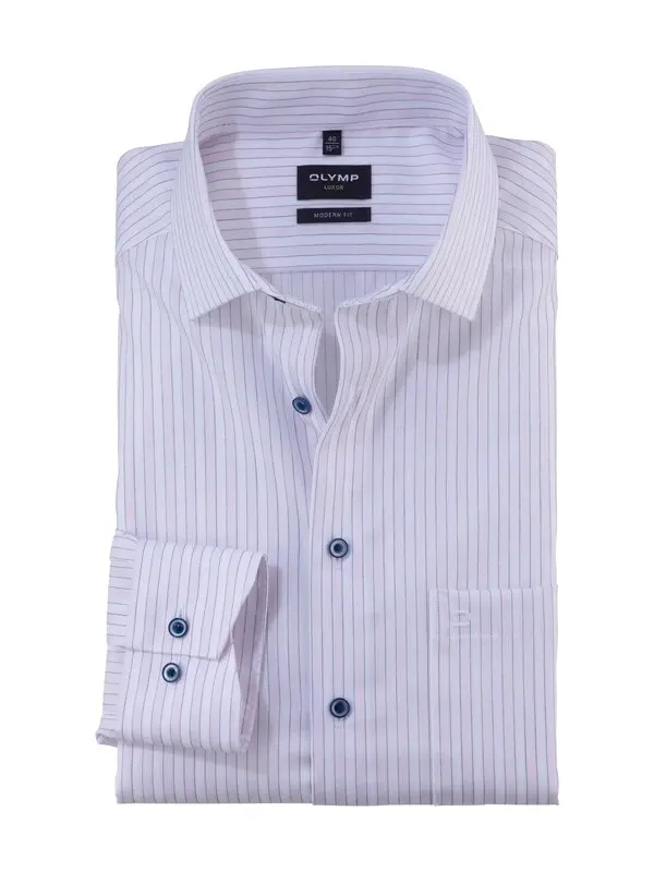 Long Sleeve Modern Fit Striped Shirt