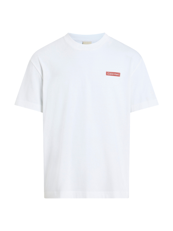 Overlay Print T-Shirt