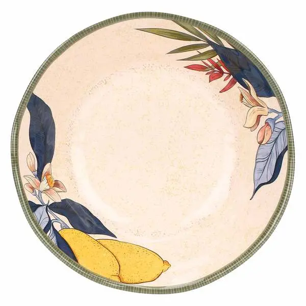 LIMU' 2PCS SET SOUP PLATES 21CM
