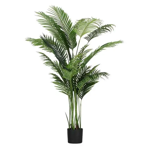 PIANTALA ARECA 190CM D 19CM